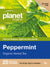 Planet Organic Peppermint x 25 Tea Bags