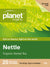 Planet Organic Nettle x 25 Tea Bags