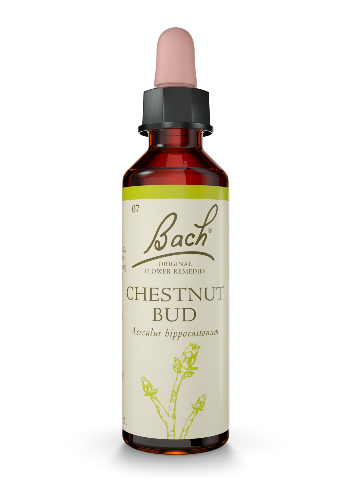 Bach Original Flower Remedies Chestnut Bud 20ml