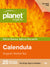 Planet Organic Calendula x 25 Tea Bags