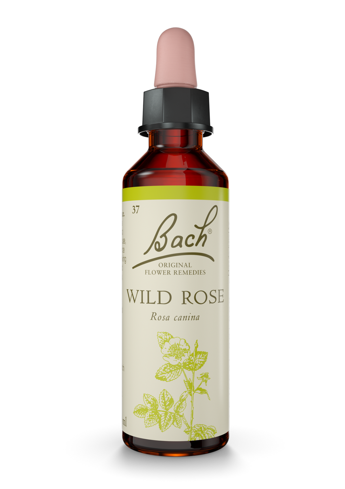 Bach Original Flower Remedies Wild Rose 20ml