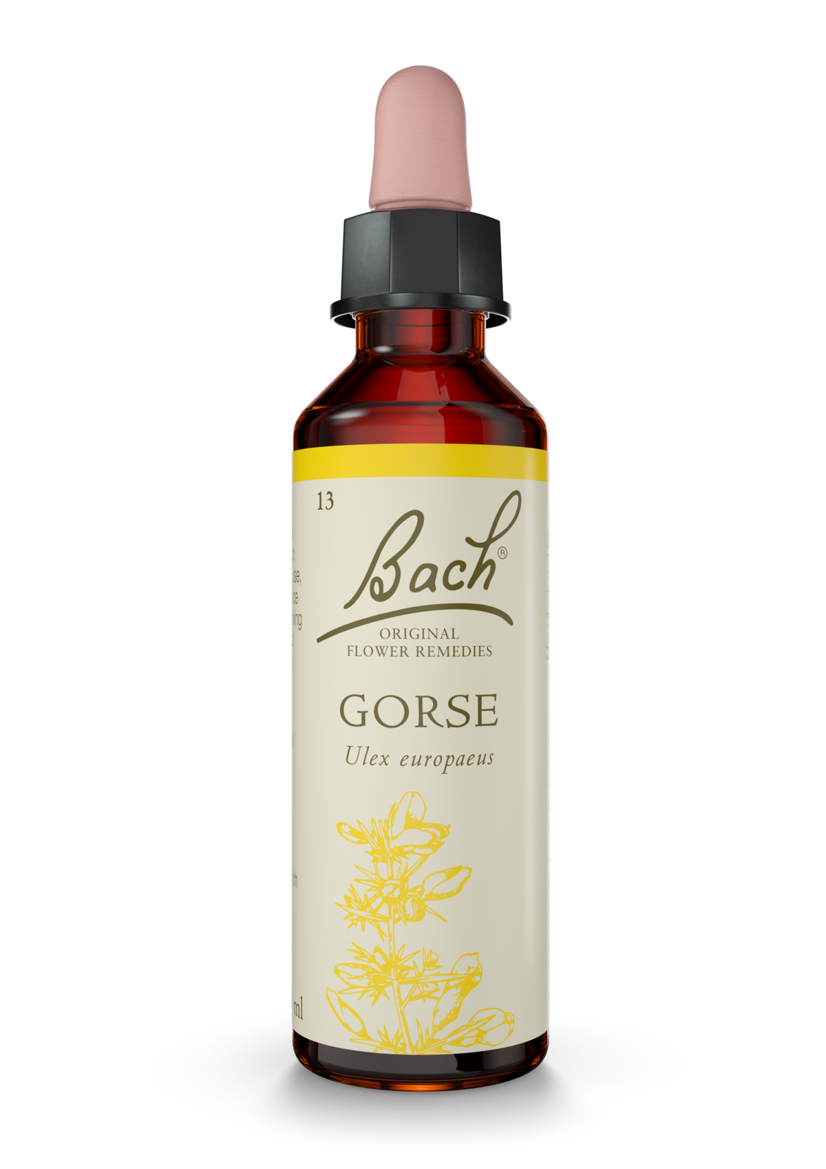 Bach Original Flower Remedies Gorse 20ml